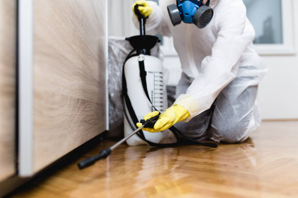 Best Best Pest Control Near Me  in Riverview, MI