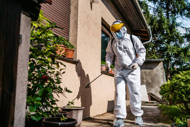 Best Cockroach Control Services  in Riverview, MI