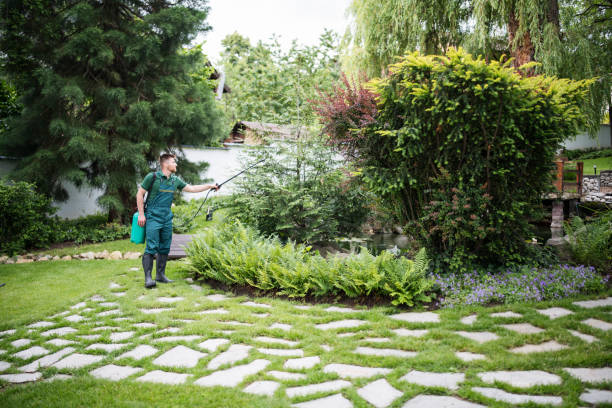 Best Residential Pest Control  in Riverview, MI