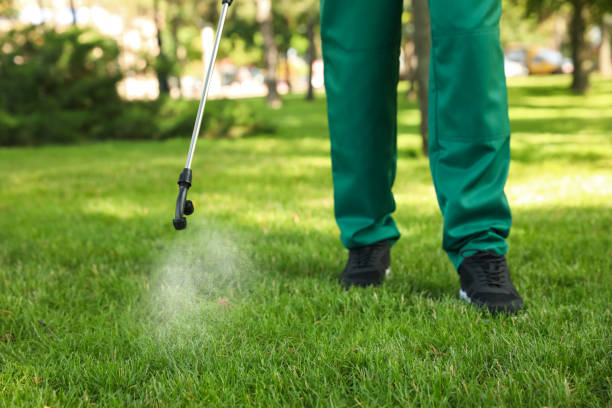 Pest Control for Restaurants in Riverview, MI