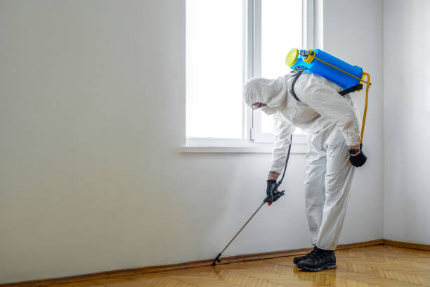 Best Mosquito Control Services  in Riverview, MI
