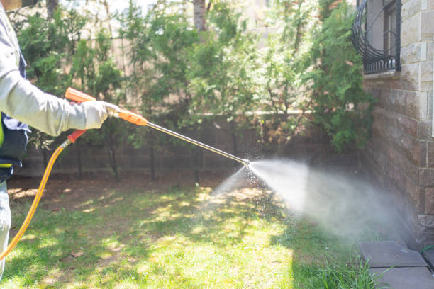 Best Best Pest Control Companies  in Riverview, MI