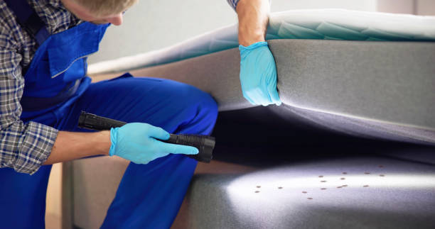 Best Rat Extermination Near Me  in Riverview, MI