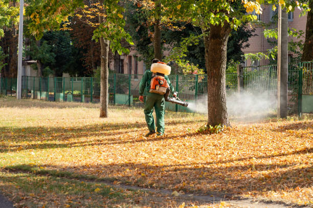 Best Flea Control Services  in Riverview, MI