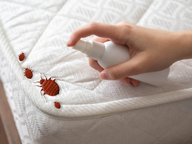 Best Termite Control Services  in Riverview, MI
