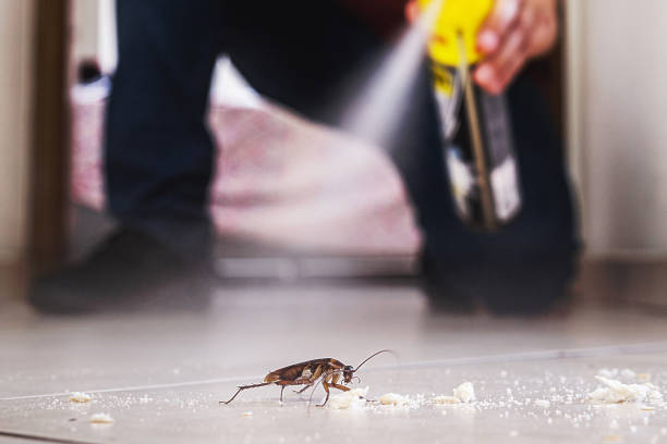 Professional Pest Control in Riverview, MI